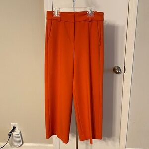 J. Crew Pants
